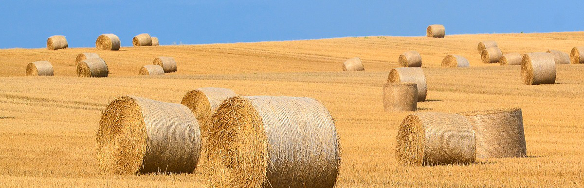 Netze für Fischerei und Landwirtschaft