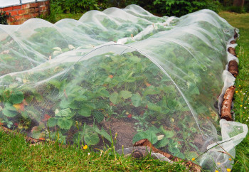 Insektenschutznetz 45gr/m² - Ohne UV-Schutz