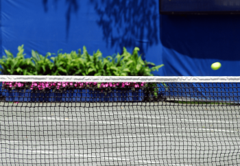 Tennisnetz