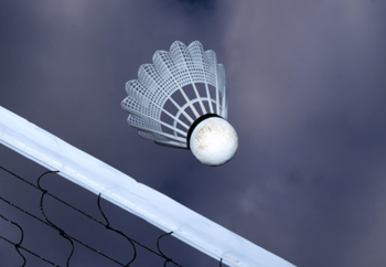 Badmintonnetz